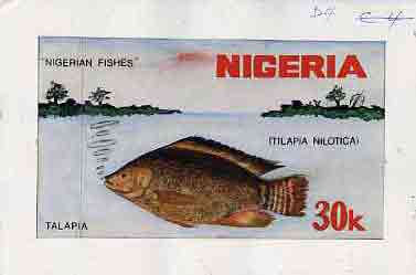 Nigeria 1991 Fishes - original hand-painted artwork for 30k value (Talapia) by NSP&MCo Staff Artist Clement O Ogbebor on card 8.5