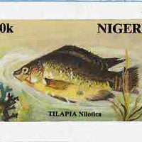 Nigeria 1991 Fishes - original hand-painted artwork for 30k value (Talapia) by S O Nwasike on card 8.5" x 5" endorsed D5
