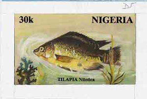 Nigeria 1991 Fishes - original hand-painted artwork for 30k value (Talapia) by S O Nwasike on card 8.5" x 5" endorsed D5