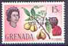 Grenada 1967 Nutmeg 15c (from Associated Statehod opt'd def set) unmounted mint, SG 270