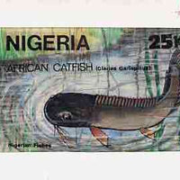 Nigeria 1991 Fishes - original hand-painted artwork for 25k value (Catfish) by Godrick N Osuji on card 8.5" x 5" endorsed C1