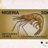 Nigeria 1988 Shrimps - original hand-painted artwork for 30k value (Estuarine Prawn) by NSP&MCo Staff Artist Samuel A M Eluare similar to issued design on card 8.5" x 5" endorsed D2