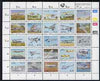 South Africa 1993 Aviation In South Africa sheetlet containing set of 25 values unmounted mint, SG 779a