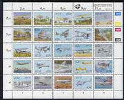 South Africa 1993 Aviation In South Africa sheetlet containing set of 25 values unmounted mint, SG 779a
