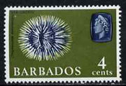 Barbados 1966-69 Sea Urchin 4c (wmk sideways) unmounted mint SG 345