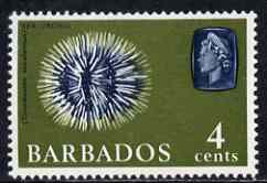 Barbados 1965 Sea Urchin 4c def (wmk upright) unmounted mint SG 325