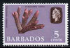 Barbados 1965 Staghorn Coral 5c def (wmk upright) unmounted mint SG 326