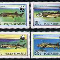 Rumania 1994 WWF - Sturgeons perf set of 4 unmounted mint, SG 5660-63