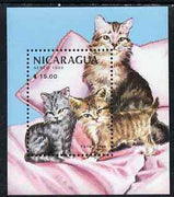 Nicaragua 1988 Mammals & their Young (Cats) perf m/sheet unmounted mint, SG MS 2962