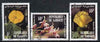 Djibouti 1983 Flowers perf set of 3 fine cto used, SG 878-80