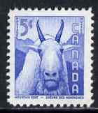 Canada 1956 Mountain Goat 5c from Wild Life Week unmounted mint, SG 487