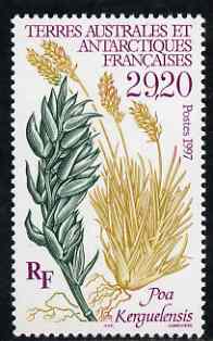 French Southern & Antarctic Territories 1997 Poa Kerguelensis (Plant) unmounted mint SG 373