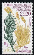 French Southern & Antarctic Territories 1997 Poa Kerguelensis (Plant) unmounted mint SG 373