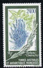 French Southern & Antarctic Territories 1999 Festuca contracta (grass) 24f unmounted mint, SG 402
