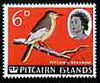 Pitcairn Islands 1964-65 Pitcairn Warbler 6d from def set fine used, SG 41