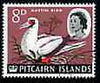 Pitcairn Islands 1964-65 Red-footed Booby 8d from def set fine used, SG 42
