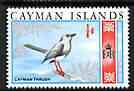 Cayman Islands 1969 Grand Cayman Thrush 1/4d from def set unmounted mint, SG 222*