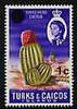 Turks & Caicos Islands 1969 Cactus 1c on 1d (wmk sideways) unmounted mint, SG 298a