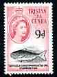 Tristan da Cunha 1960 Christophersen's Medusafish 9d from def set unmounted mint, SG 37