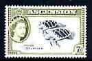 Ascension 1956 Young Turtles 7d (from def set) unmounted mint, SG 65