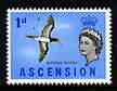 Ascension 1963 Brown Booby 1d (from bird def set) unmounted mint, SG 70