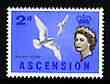 Ascension 1963 White Tern 2d (from bird def set) unmounted mint, SG 72