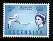 Ascension 1963 Tropic Bird 3d (from bird def set) unmounted mint, SG 73