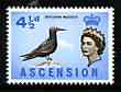 Ascension 1963 Common Noddy 4.5d (from bird def set) unmounted mint, SG 74