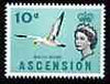 Ascension 1963 Blue-Faced Booby 10d (from bird def set) unmounted mint, SG 77