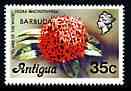 Barbuda 1977 Flame of the Wood 35c (from opt'd def set) unmounted mint, SG 316*