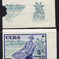 Cuba 1948 Coffee Bicentenary imperf proofs by Waterlow comprising proof of background in green plus composite proof in blue & green, both proofs on gummed paper with security punch holes (inter-paneau gutter pairs available price x 2)