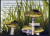 Grenada - Grenadines 2002 Flora & Fauna perf m/sheet (Amanita Mushroom), signed by Thomas C Wood the designer, unmounted mint