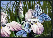 Grenada - Grenadines 2002 Flora & Fauna perf m/sheet (Blue Night Butterfly), signed by Thomas C Wood the designer, unmounted mint