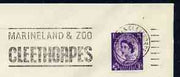 Postmark - Great Britain 1966 cover bearing slogan cancellation for Cleethorpes Marineland & Zoo