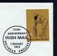 Postmark - Great Britain 1973 cover bearing illustrated cancellation for 125th Anniversary of Irish Mail