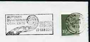Postmark - Great Britain 1973 cover bearing illustrated slogan cancellation for Autumn Symphony Concerts at Fairfield Hall