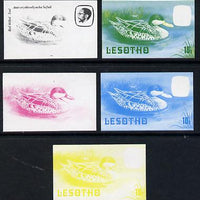 Lesotho 1982 Red Billed Teal 10s the set of 5 imperf progressive proofs comprising the 4 individual colours, plus blue & yellow, scarce (as SG 506)