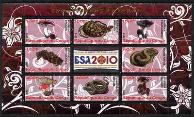 Congo 2010 Mushrooms & Fauna #03 perf sheetlet containing 8 values plus Scouts label unmounted mint