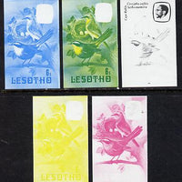 Lesotho 1982 Cape Robin Chat 6s the set of 5 imperf progressive proofs comprising the 4 individual colours, plus blue & yellow, scarce (as SG 504)