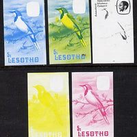 Lesotho 1982 Shrike 5s the set of 5 imperf progressive proofs comprising the 4 individual colours, plus blue & yellow, scarce (as SG 503)