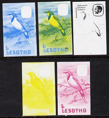Lesotho 1982 Shrike 5s the set of 5 imperf progressive proofs comprising the 4 individual colours, plus blue & yellow, scarce (as SG 503)