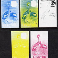 Lesotho 1982 Crowned Crane 3s the set of 5 imperf progressive proofs comprising the 4 individual colours, plus blue & yellow, scarce (as SG 502)