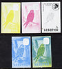 Lesotho 1982 Kestrel 1s the set of 5 imperf progressive proofs comprising the 4 individual colours, plus blue & yellow, scarce (as SG 500)