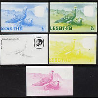 Lesotho 1982 Rock Pigeon 2s the set of 5 imperf progressive proofs comprising the 4 individual colours, plus blue & yellow, scarce (as SG 501)