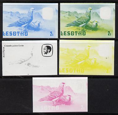 Lesotho 1982 Rock Pigeon 2s the set of 5 imperf progressive proofs comprising the 4 individual colours, plus blue & yellow, scarce (as SG 501)