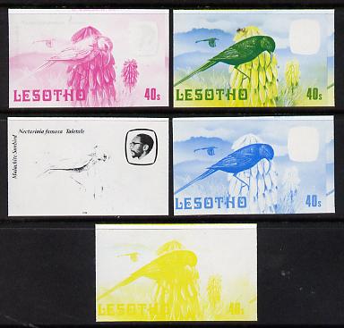 Lesotho 1982 Malachite Sunbird 40s the set of 5 imperf progressive proofs comprising the 4 individual colours, plus blue & yellow, scarce (as SG 508)