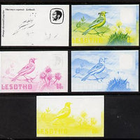 Lesotho 1982 Cape Longclaw 60s the set of 5 imperf progressive proofs comprising the 4 individual colours, plus blue & yellow, scarce (as SG 509)