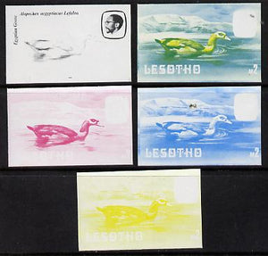 Lesotho 1982 Egyptian Goose M2 the set of 5 imperf progressive proofs comprising the 4 individual colours, plus blue & yellow, scarce (as SG 512) unmounted mint
