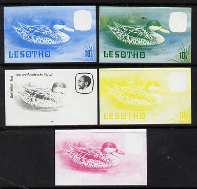 Lesotho 1981 Red Billed Teal 10s the set of 5 imperf progressive proofs comprising the 4 individual colours, plus blue & yellow, scarce (as SG 443)