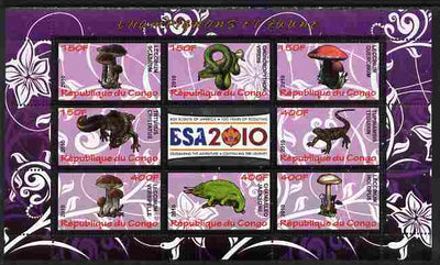 Congo 2010 Mushrooms & Fauna #05 perf sheetlet containing 8 values plus Scouts label unmounted mint